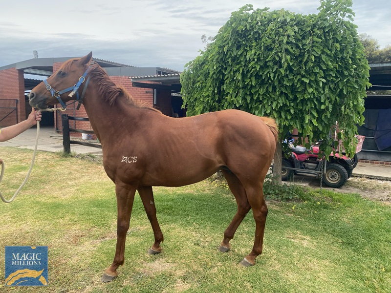 1000029647.jpg - Image 1