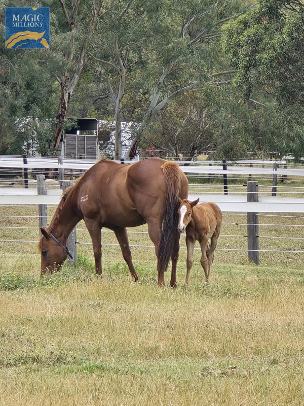 1000027823.jpg - Image 2