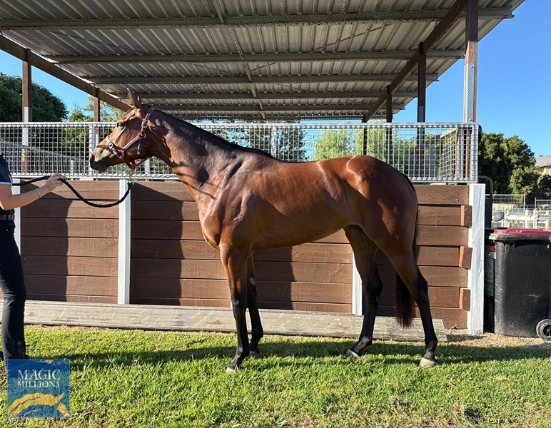 Sara rocket 1.jpg - Image 1