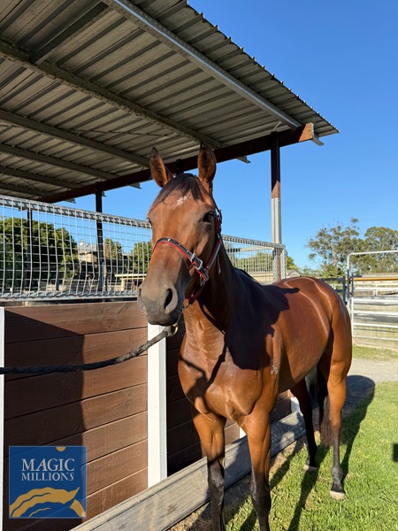 Sara rocket 2.jpg - Image 2