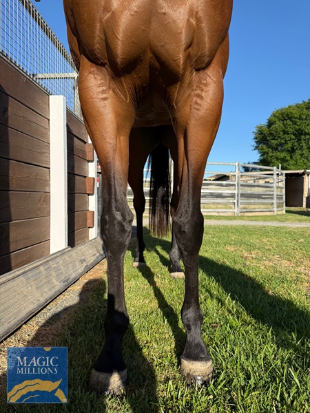 Sara Rocket 4.jpg - Image 4