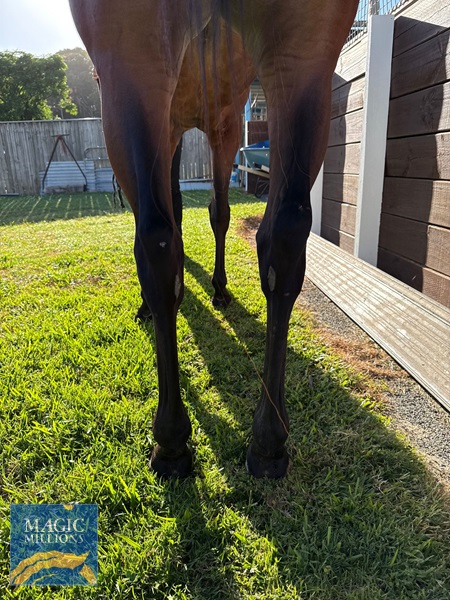 Sara Rocket 5.jpg - Image 4