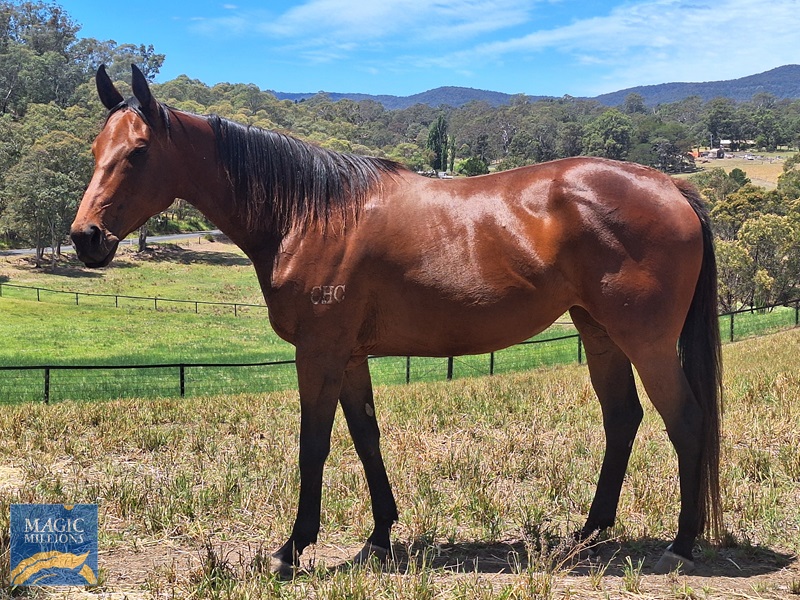 1000016107.jpg - Image 1