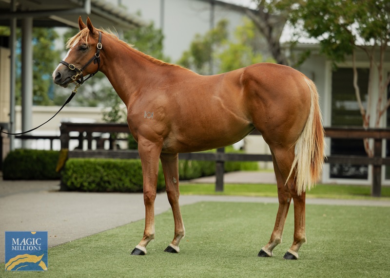 1000016086.jpg - Image 1