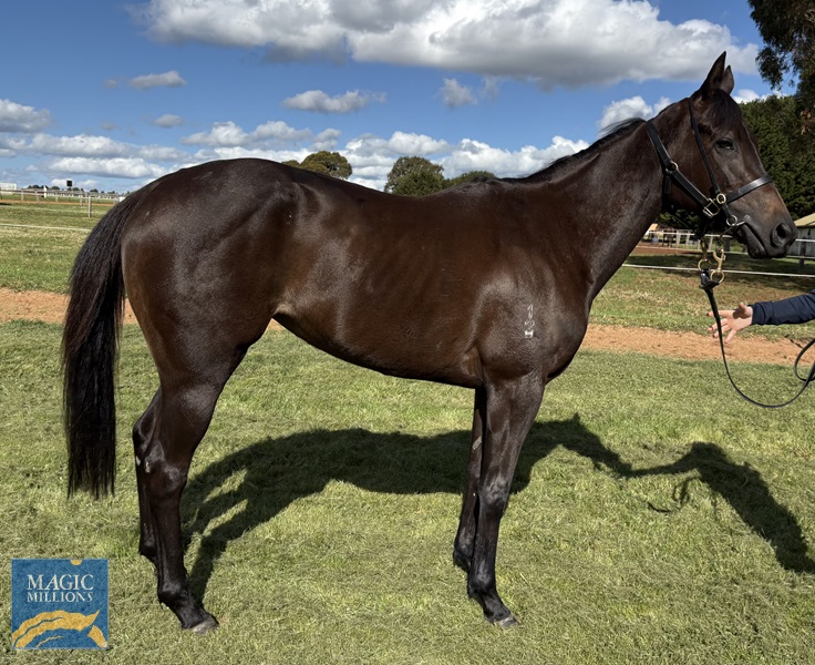 IMG_6109.jpg - Image 1