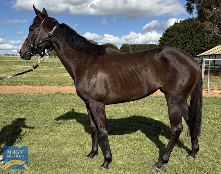 IMG_6113.jpg - Image 2