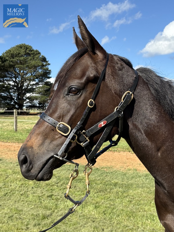 IMG_6118.jpg - Image 3