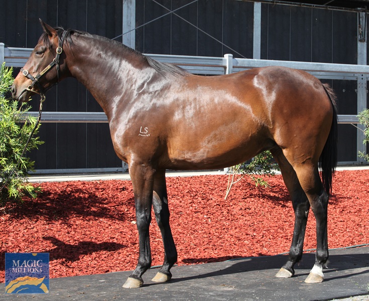 Hooning.jpg - Image 1