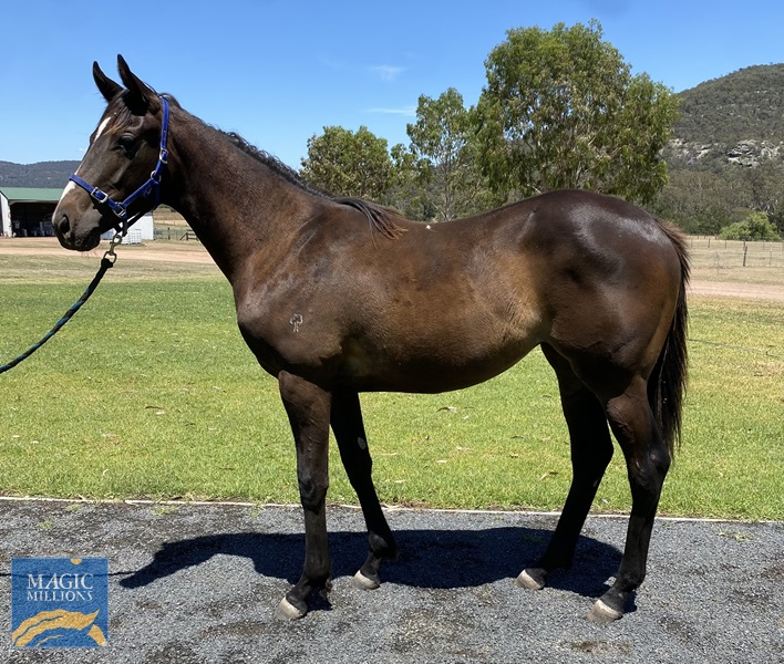 IMG_7100.jpg - Image 1