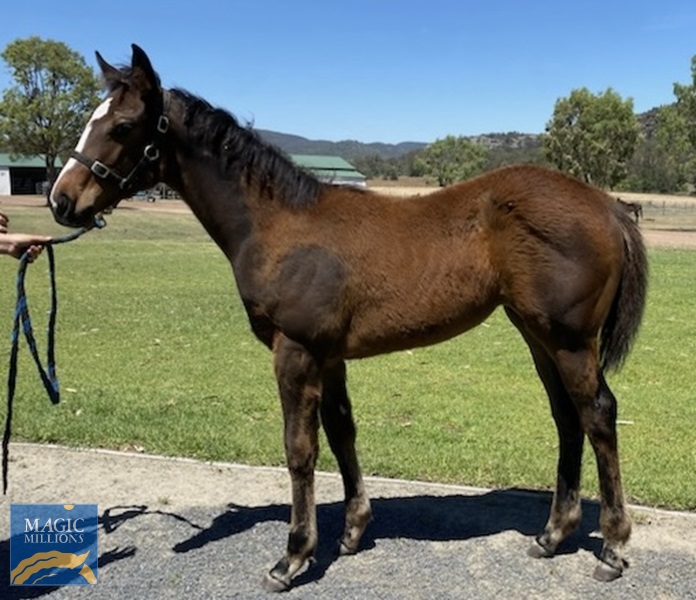 Attachment.jpg - Image 3