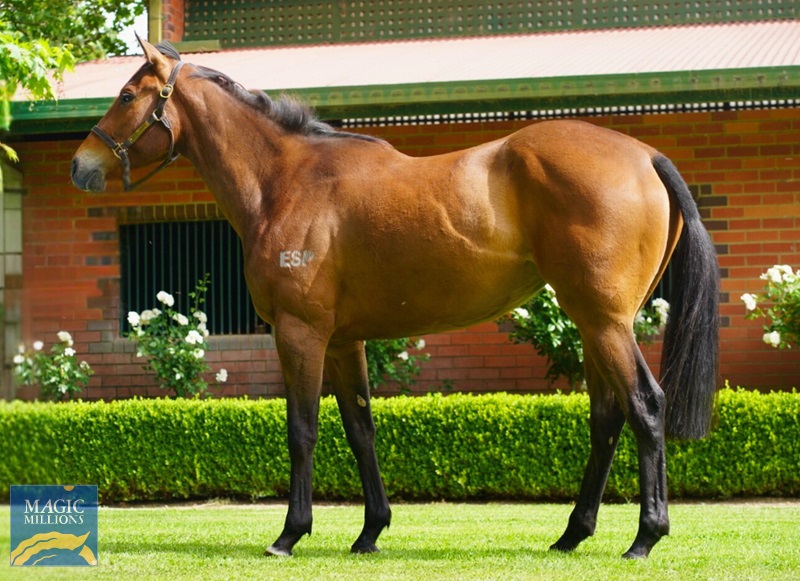 IMG_0152.jpg - Image 1