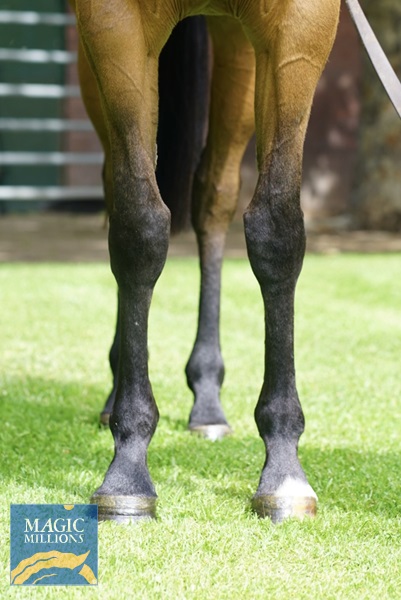 DSC00301.jpg - Image 2