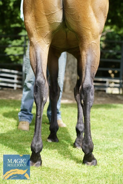 DSC00295.jpg - Image 3