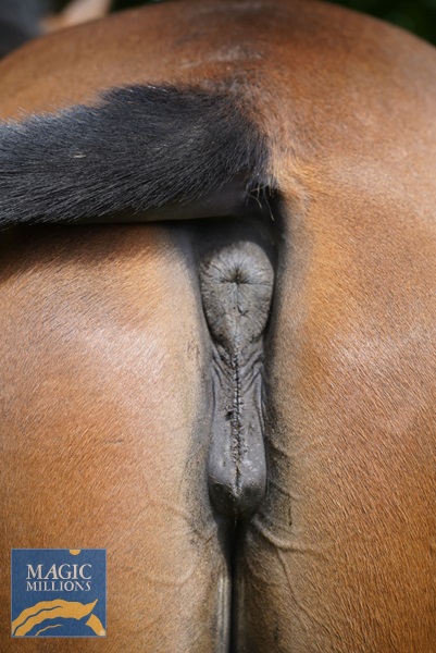 IMG_0140.jpg - Image 4