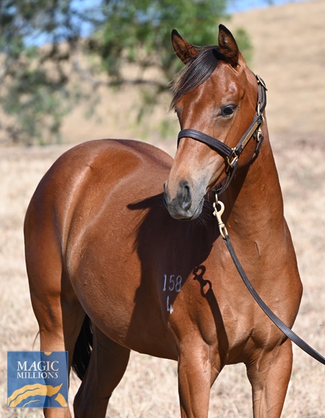 Sonnet Star 24 x All Too Hard - headshot.jpg - Image 2