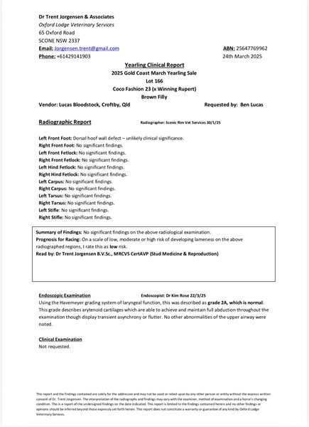 WR Xray and Scope Report .jpg - Report 1