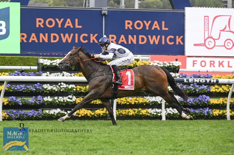 Overpass 1.jpg - Image 1