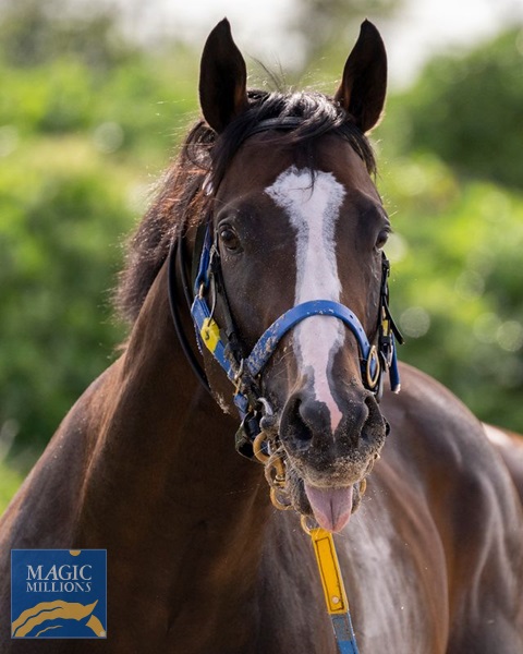 Overpass 2.jpg - Image 2