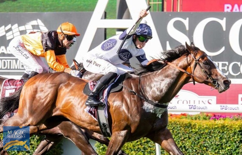 Overpass 3.jpg - Image 3