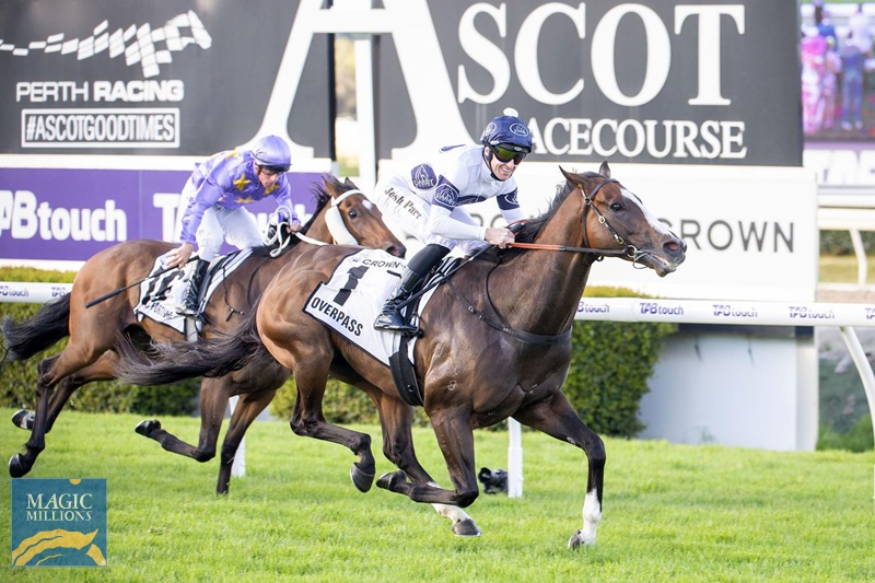 Overpass 4.jpg - Image 4