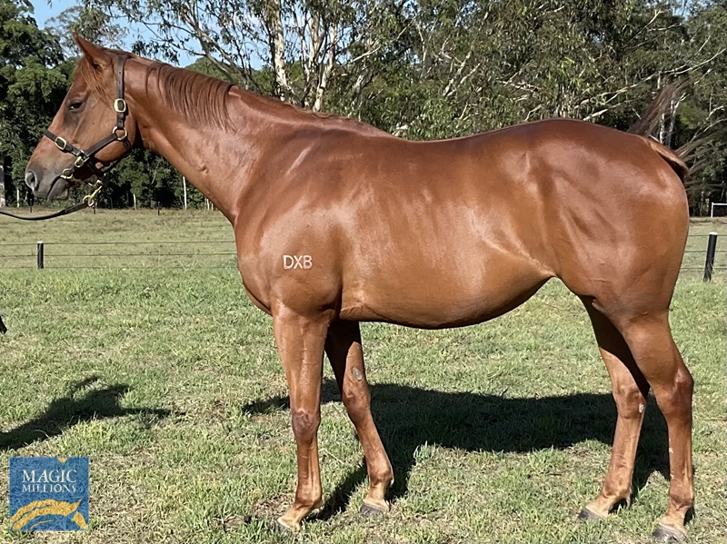 Mooshaka confirmation