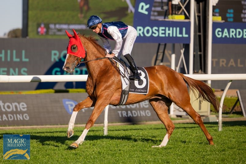 Presley2.jpg - Image 2