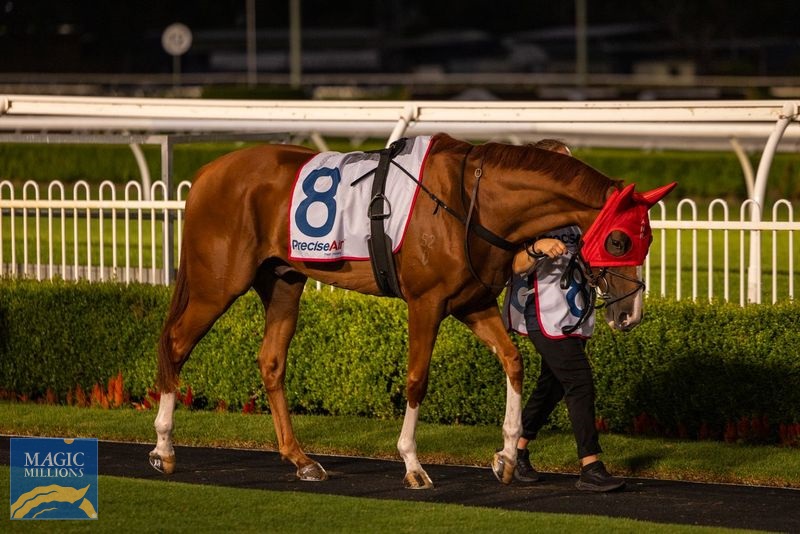 Presley3.jpg - Image 3