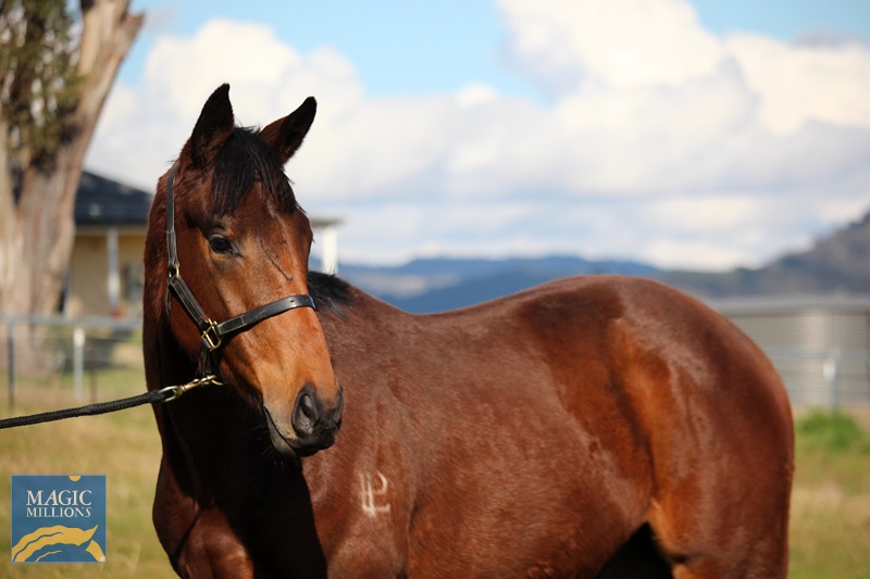 Heatstroke (headshot) 11082025.jpg - Image 1