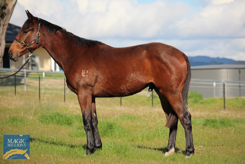 Heatstroke 11082025.jpg - Image 2