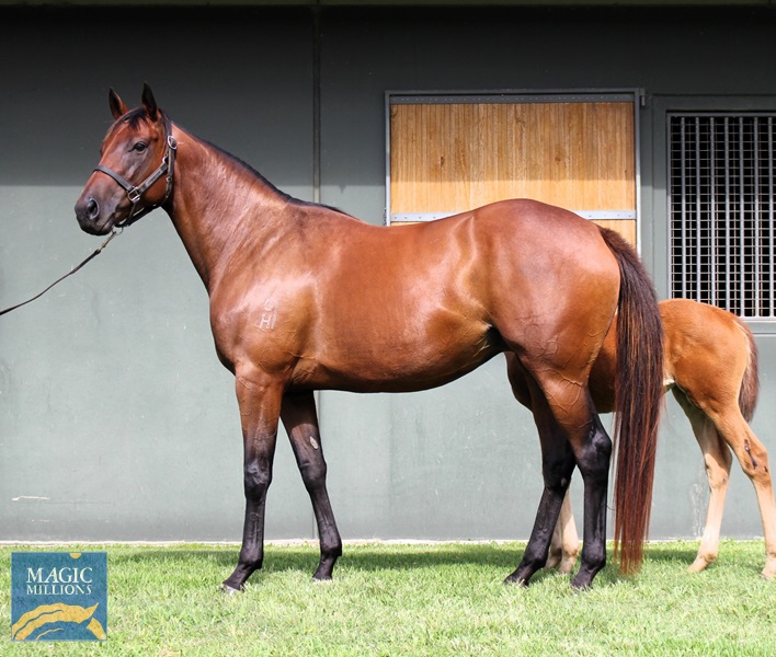 Klum side.jpg - Image 1