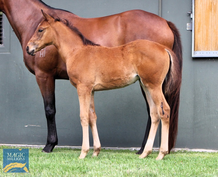 Klum 25 side.jpg - Image 2