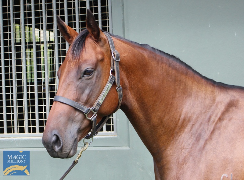 Klum head.jpg - Image 3