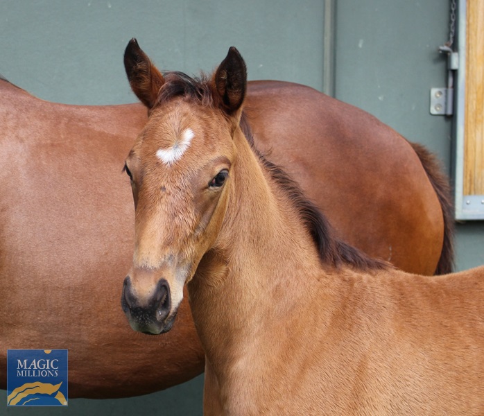 Klum 25 head.jpg - Image 4