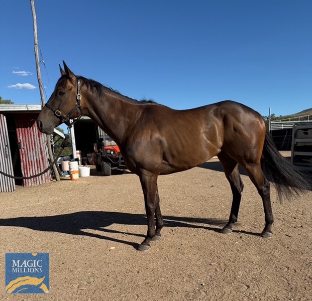 Stormy Capital.jpg - Image 1