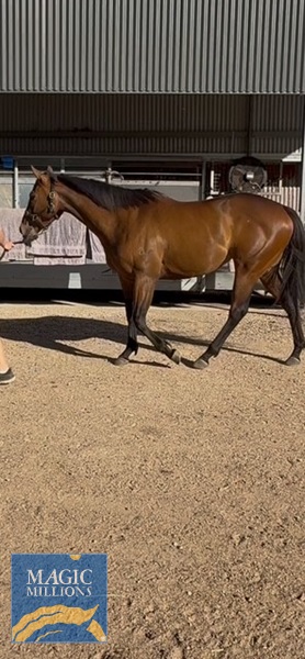 Standing There.jpg - Image 1