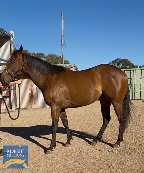 Standing There 1.jpg - Image 2