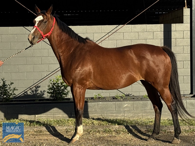 IMG_3461.jpg - Image 3