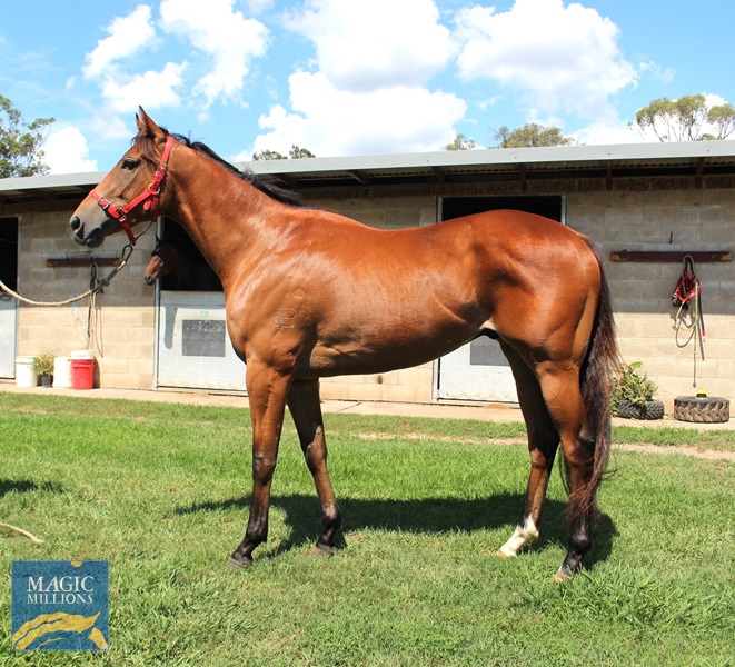 SOTW 11012024.jpg - Image 1