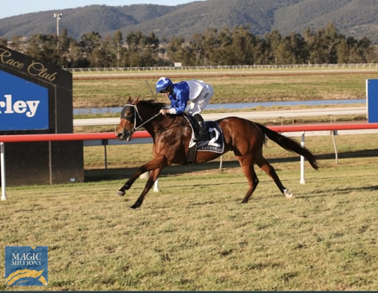 c16a223c-03df-48bc-a517-74dd5b5626d6.jpg - Image 2