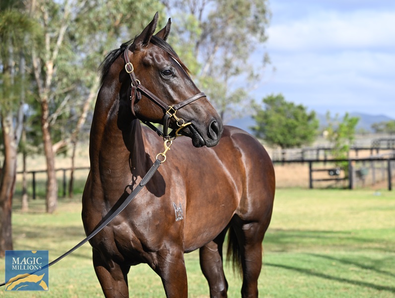 LOT 43 Pierata x Alotofpride__DSC4977.jpg - Image 2