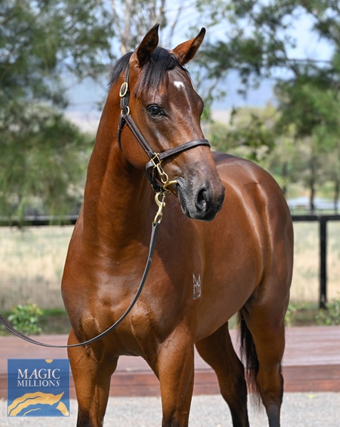 LOT 127 Artorius x Born To Play__DSC5784.jpg - Image 2