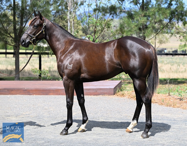 LOT 395 Tassort x Funoon__DSC6265.jpg - Image 1