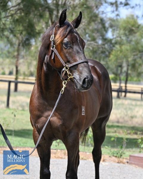 LOT 395 Tassort x Funoon__DSC6309.jpg - Image 2