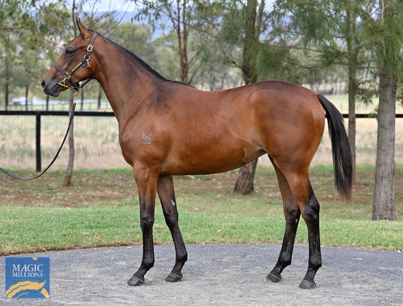 LOT 342 State of Rest x Harlem River__DSC5233.jpg - Image 1