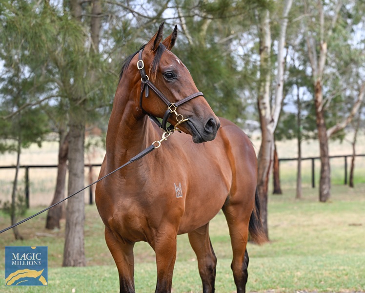 LOT 342 State of Rest x Harlem River__DSC5253.jpg - Image 2