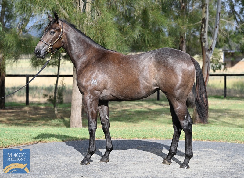 LOT 511 State of Rest x Make My Own Luck__DSC5027.jpg - Image 1