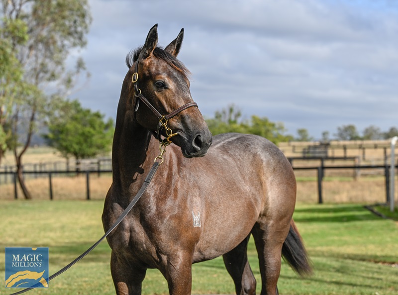 LOT 511 State of Rest x Make My Own Luck__DSC5069.jpg - Image 2