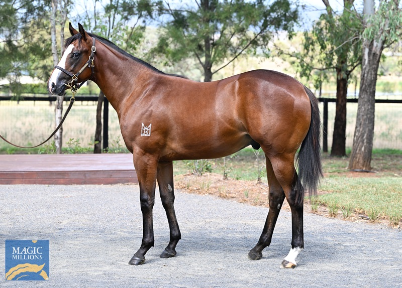 LOT 544 Stay Inside x Mischief Night__DSC6344.jpg - Image 1