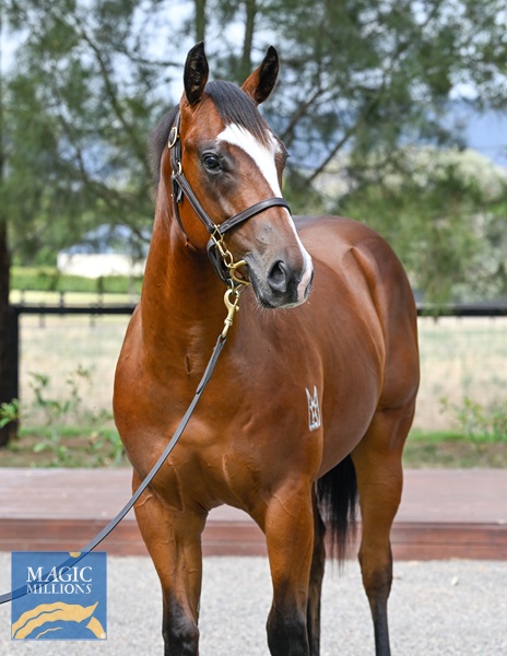 LOT 544 Stay Inside x Mischief Night__DSC5545.jpg - Image 2