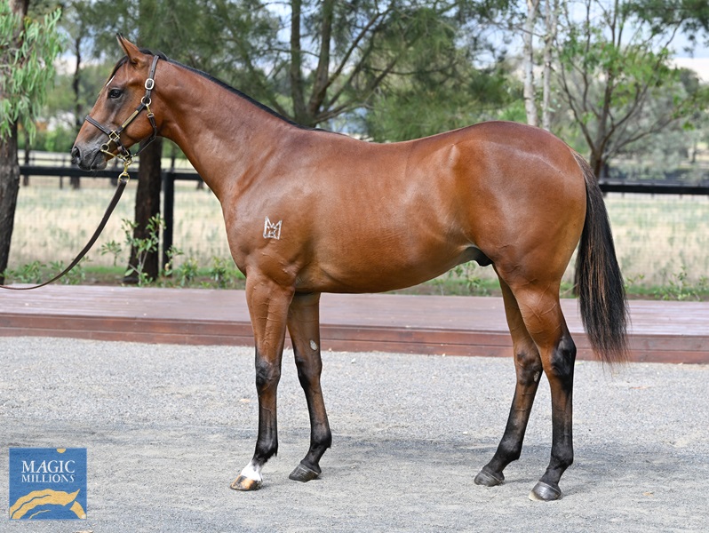 LOT 574 In The Congo x Modern Millie__DSC5876.jpg - Image 1
